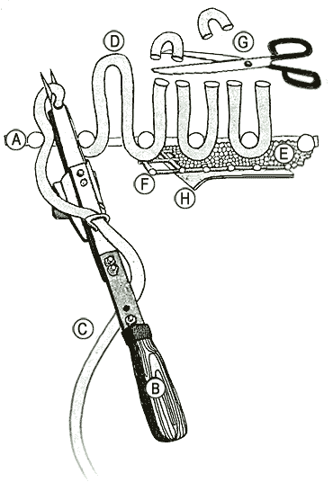 Illustration and Diagram showing the steps involved in the production of a hand-tufted rug.